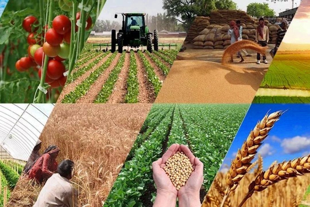  انتقاد از قانون منع عضویت هم‌زمان در شورا و اصناف كشاورزی