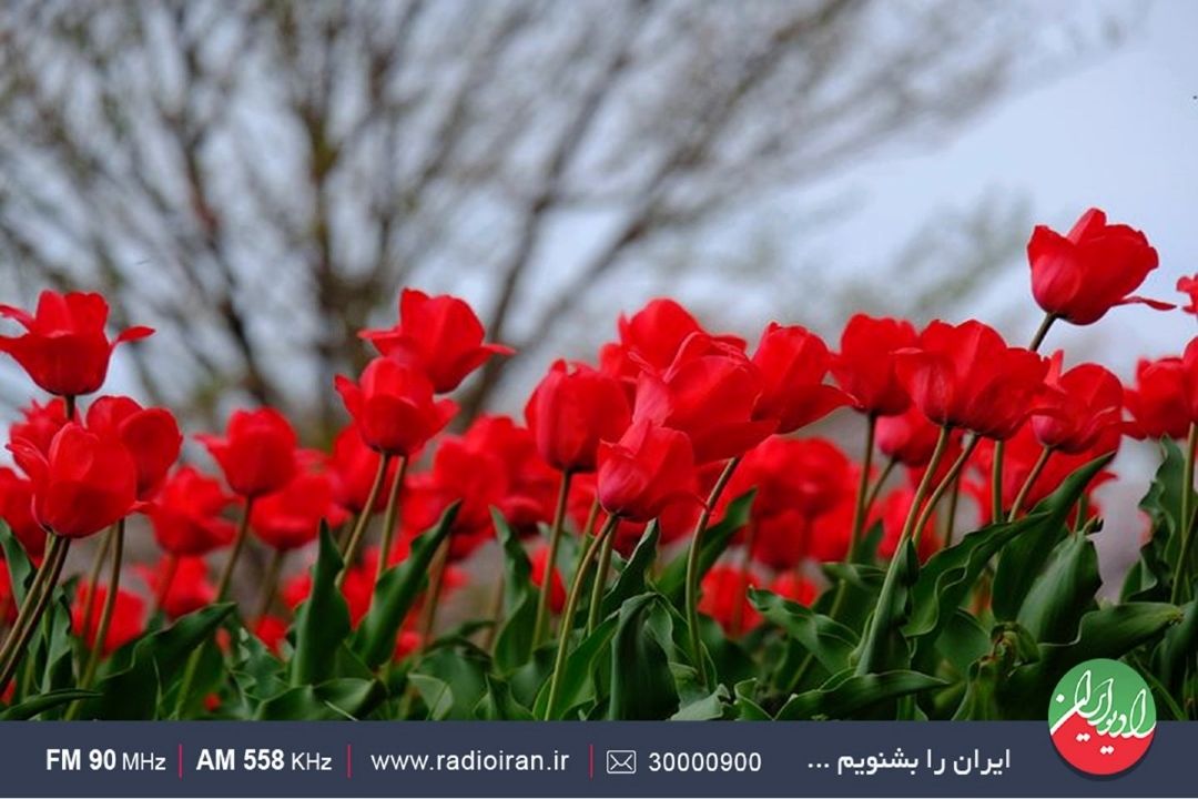 شهدا همیشه ماندگارند