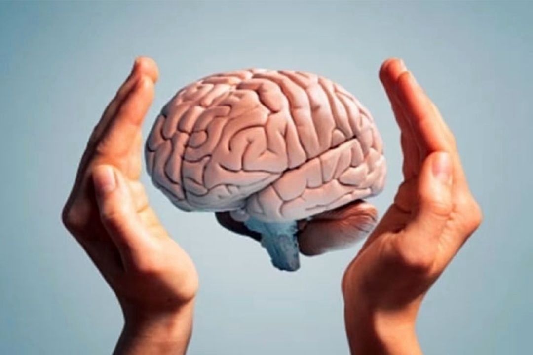  كود مغز؛ كلید طلایی بازسازی و ترمیم سلول‌های عصبی