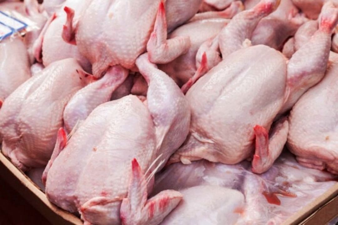  بحران در بازار مرغ و نادیده‌گرفتن تولیدكنندگان