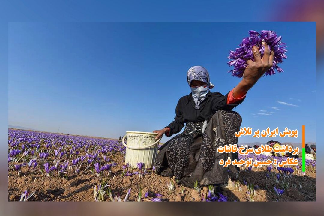 ایران پر تلاش