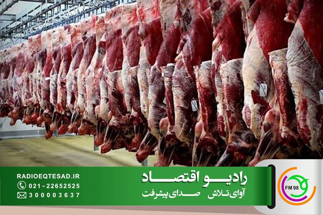 گوشت قرمز ارزان می‌شود؛ افزایش دام سبك و تعادل در بازار گوشت قرمز