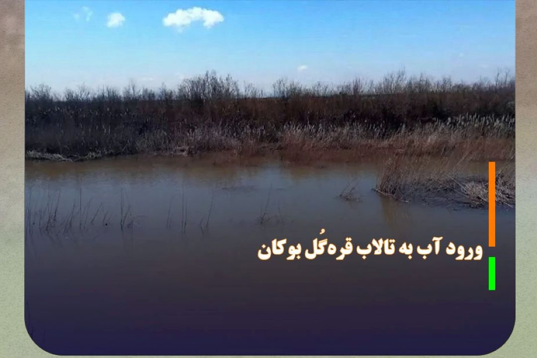 ورود بیش از 5 میلیون مترمكعب آب به تالاب قره‌گُل بوكان