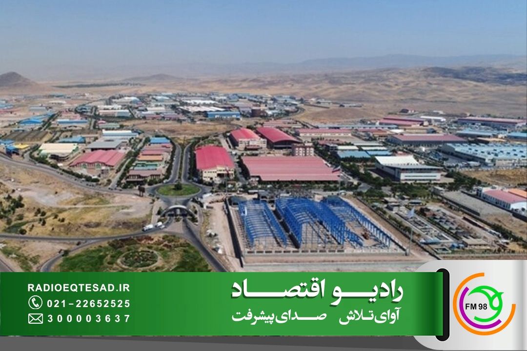  تولید 70 درصد روی كشور در استان زنجان/تحقق شعار سال ضرورت دارد