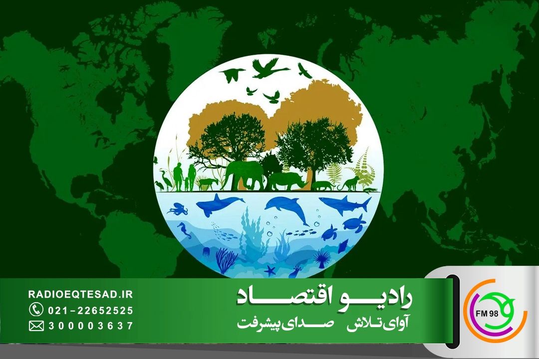 اقتصاد مقاومتی یك نسخه بومی مطابق با فرهنگ و زیست‌بوم كشور است
