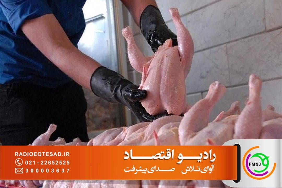 افزایش قیمت مرغ زیر سایه گرانی نهاده‌ها و ضعف نظارت