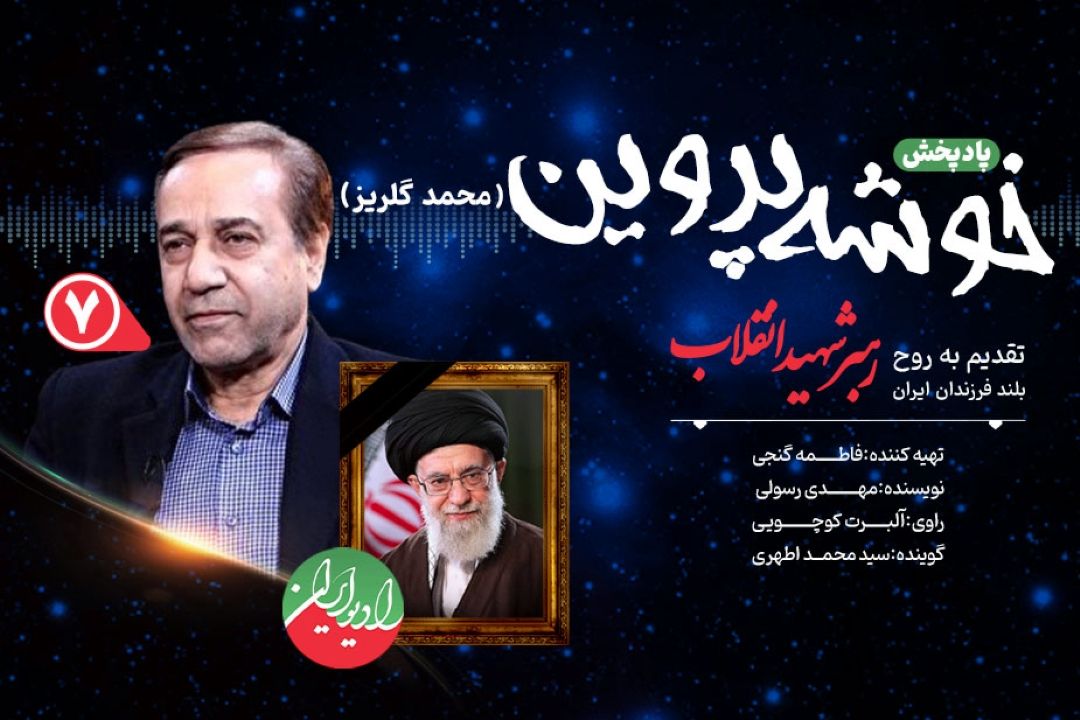 محمد گلریز