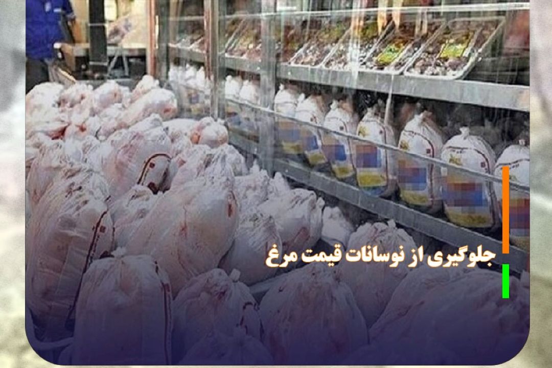 اجرای طرح‌های ویژه برای جلوگیری از نوسانات قیمت مرغ 