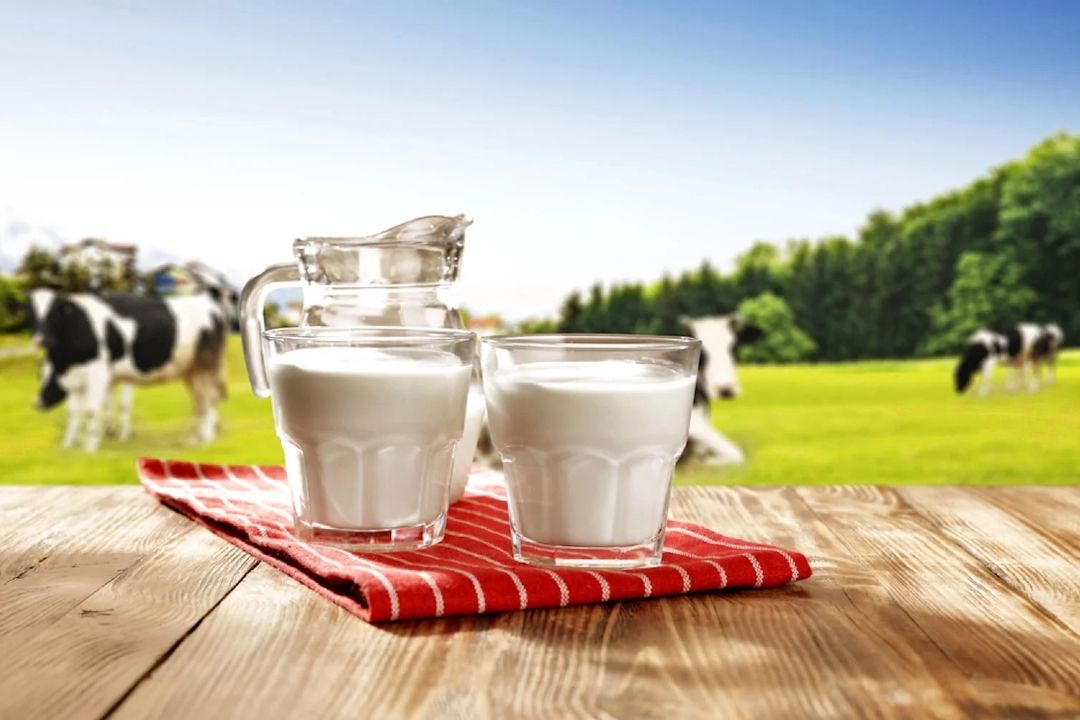 كمبود لبنیات در رژیم غذایی، خطر پوكی استخوان و كوتاهی قد را افزایش می‌دهد