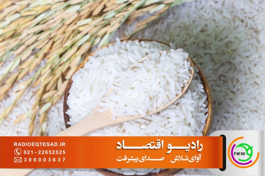  دبیر انجمن واردكنندگان برنج ایران: تأخیر 17 ماهه در پرداخت ارز، واردات برنج را با چالش جدی روبه‌رو كرده است