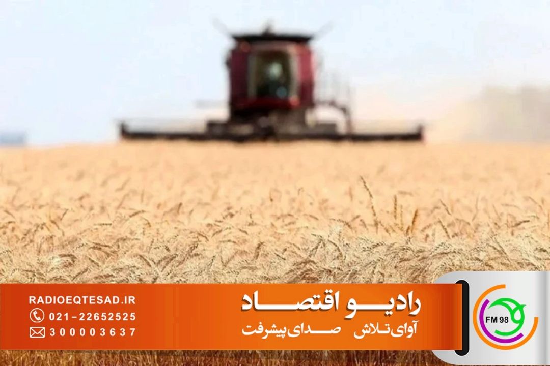 تأكید بر ذخایر پایدار گندم و ضرورت توسعه نان كامل؛ كیفیت نان حاصل همكاری همه حلقه‌های زنجیره تولید است