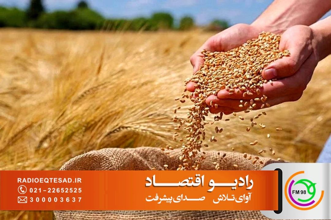 پرداخت تنها یك‌سوم مطالبات گندم‌كاران؛ بنیاد ملی گندم‌كاران خواستار اصلاح سازوكار تأمین منابع شد