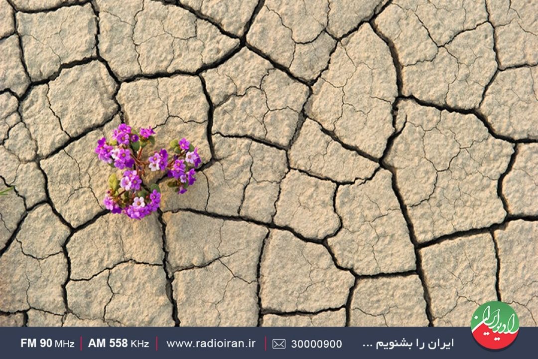امید؛ نیرویی برای ساختن فردا