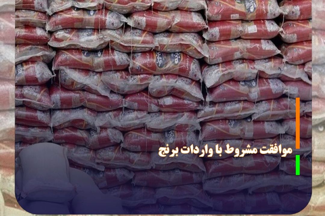 موافقت مشروط با واردات برنج