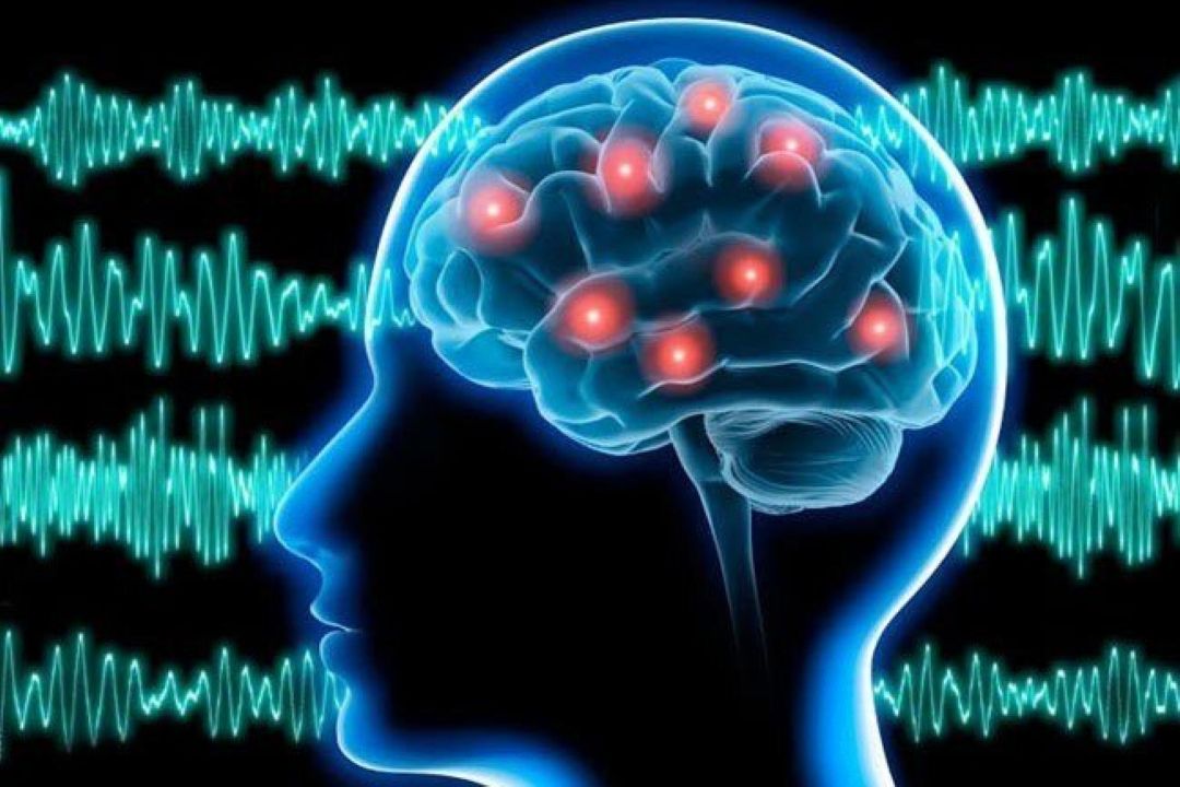 یادگیری زبان‌ها می‌تواند مغز را جوان‌تر كند