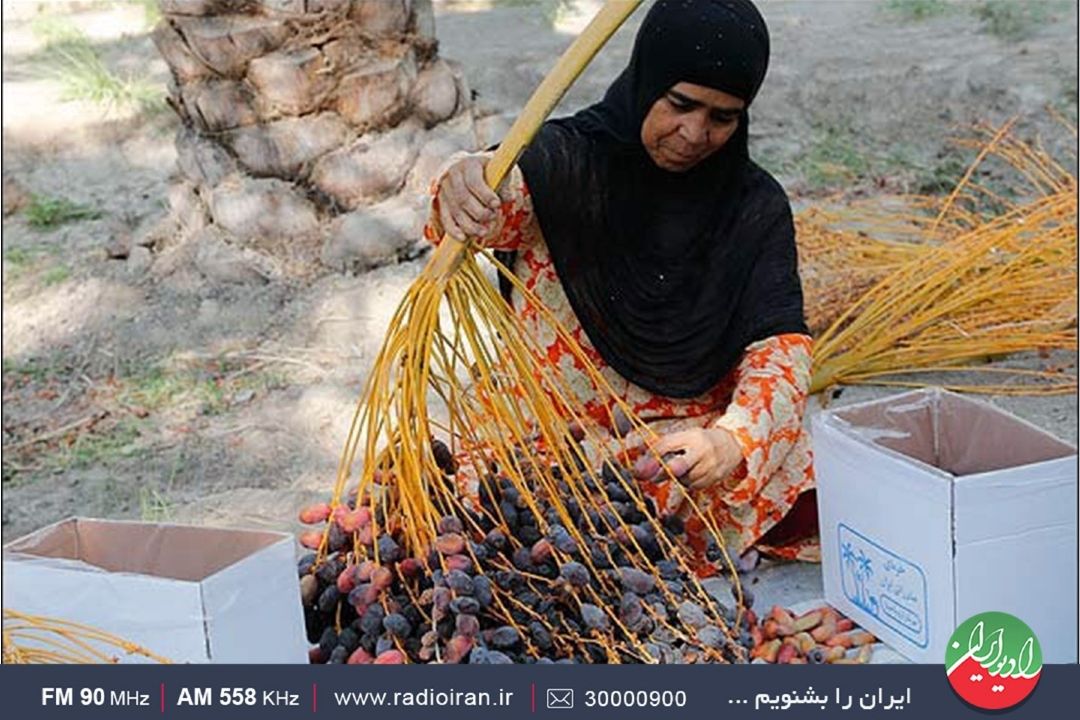 زنان روستا ستون مهم تولید هستند