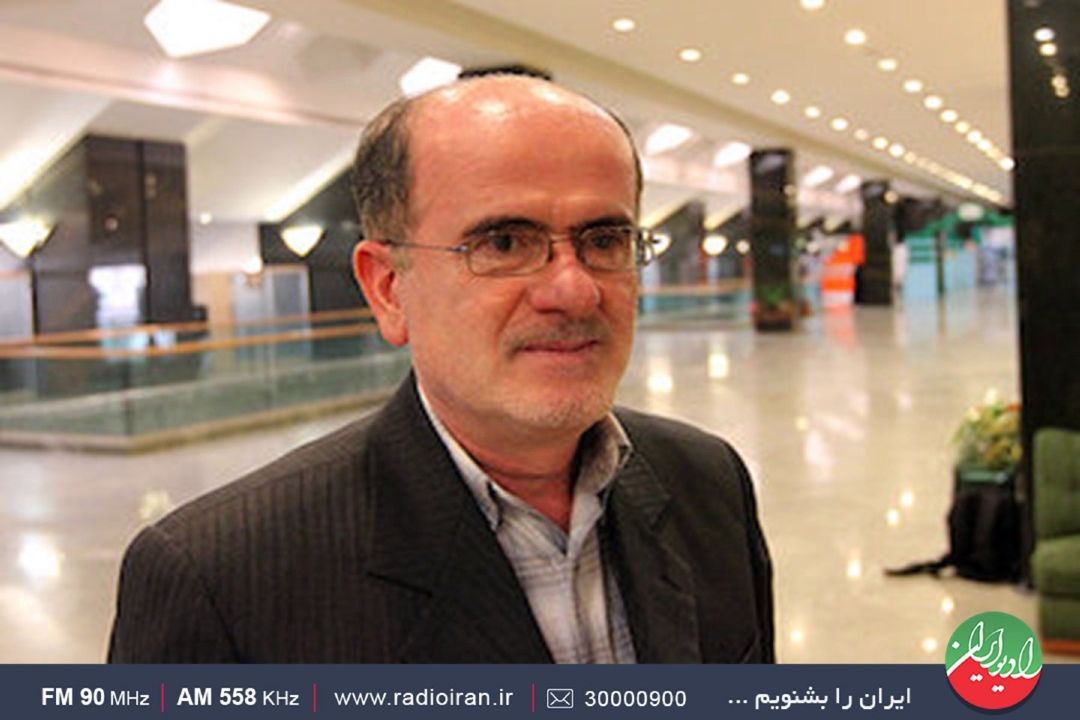 سهم دولت در اقتصاد ایران 80 درصد است