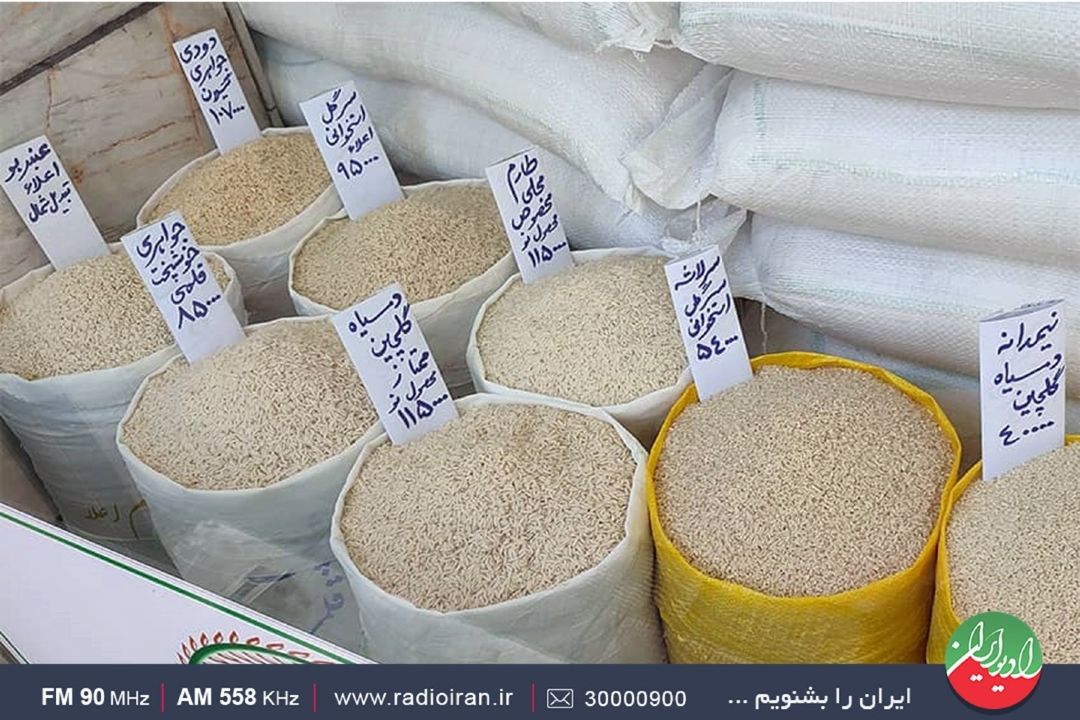 بارش‌ها تولید برنج افزایش داده است