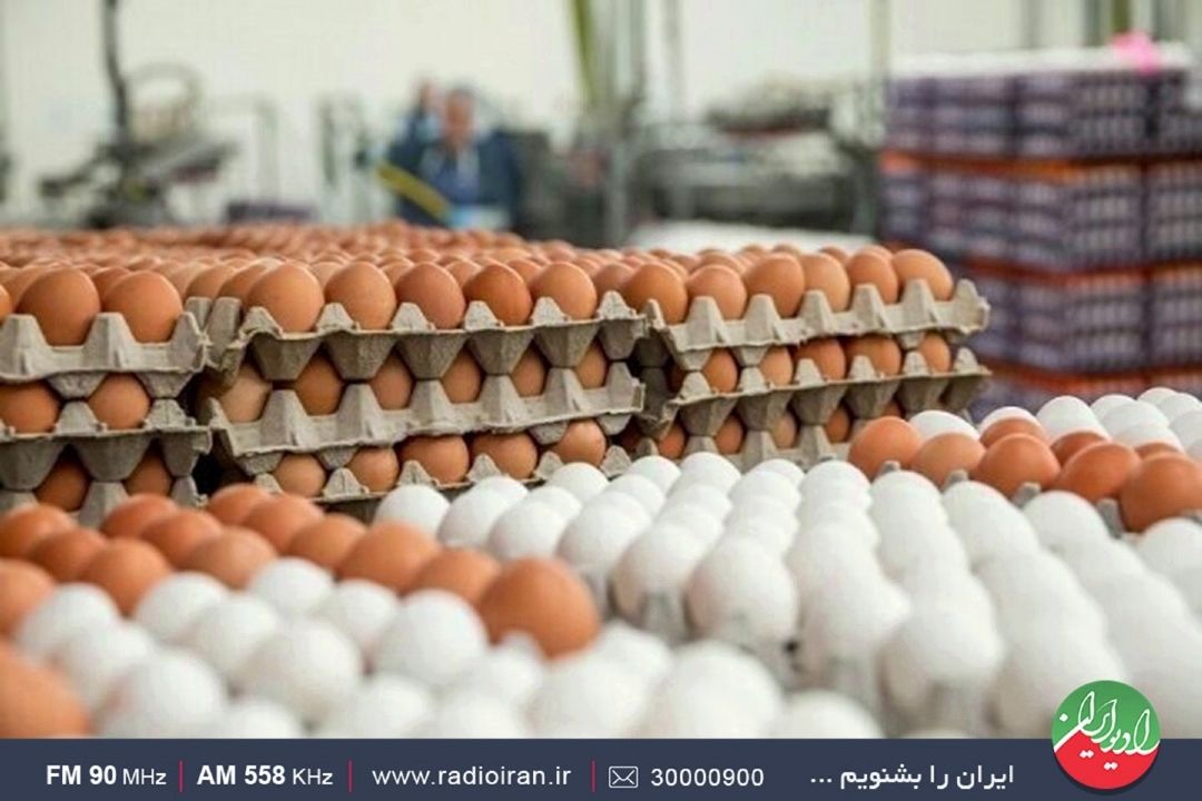 تخم‌مرغ‌ گران نشده است
