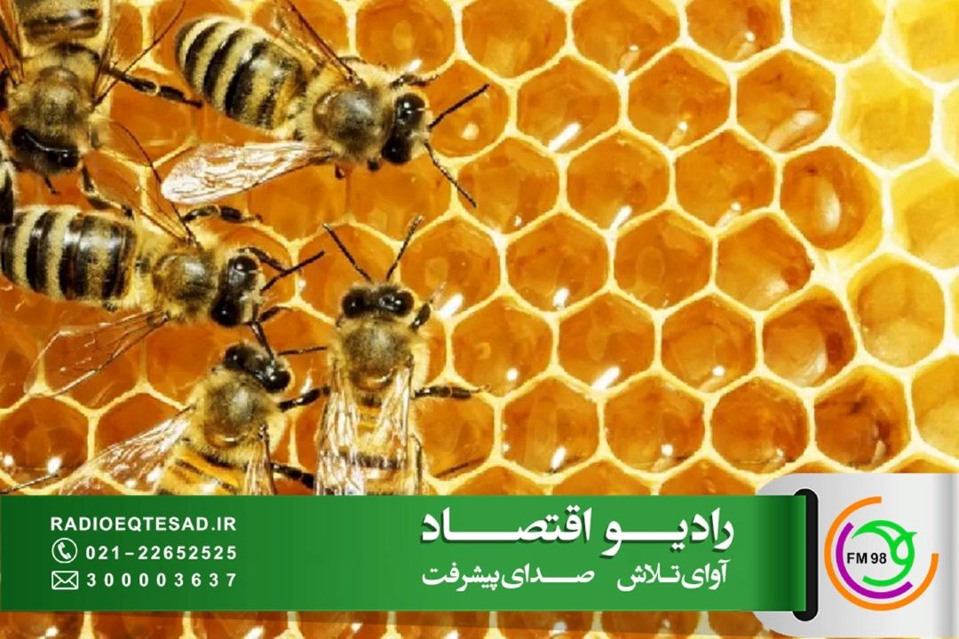 تولید 127 هزار تن عسل در كشور؛ ضرورت حركت به سمت برندینگ و صادرات با ارزش افزوده