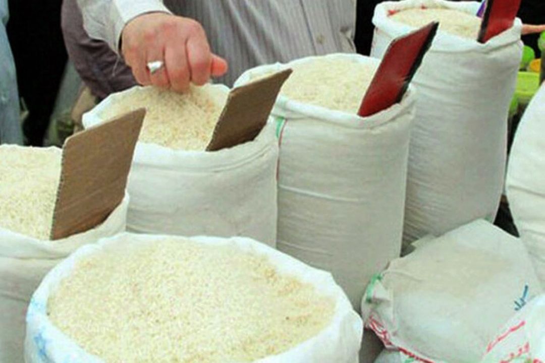 واردات 500 تا 700 هزار تن برنج برای تأمین كسری نیاز كشور