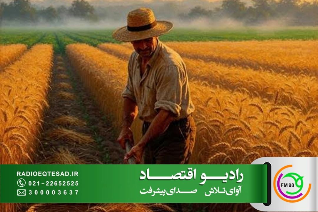  توسعه اشتغال روستایی با توزیع هدفمند منابع؛ از توانمندسازی تا تكمیل زنجیره فروش