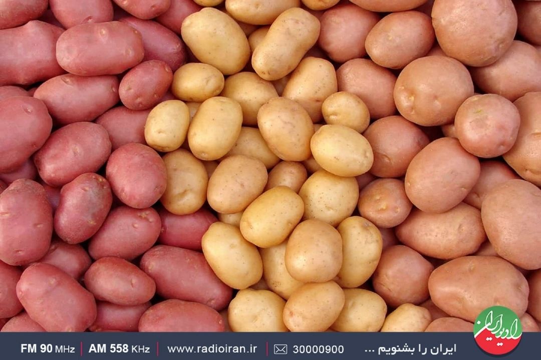 كشاورز از وزارت جهاد فرمانبری نمی‌كند