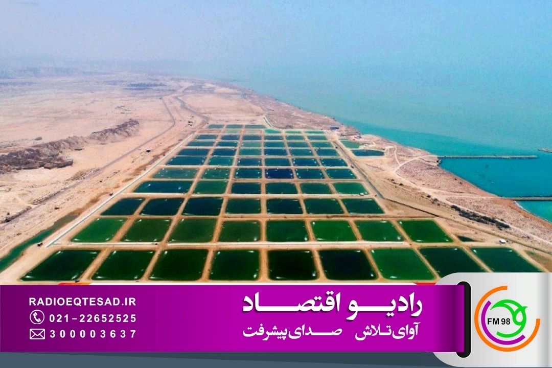 هوشمندسازی مزارع آبزی‌پروری در مسیر افزایش تاب‌اوری و توسعه مزارع شیلات