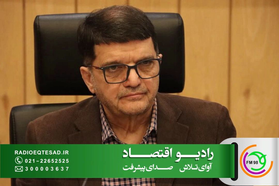  قائم‌مقام وزیر صمت: كاهش وزن كالا با اعلام شفاف، تخلف نیست؛ درج وزن غیرواقعی تخلف است