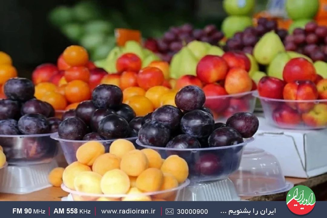 بازرسی‌ها با دقت انجام نشده است