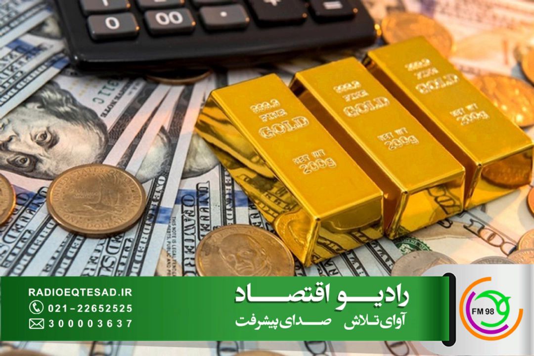 معاون پیشین ارزی بانك مركزی: نوسانات نرخ ارز تابع میزان عرضه و بازگشت منابع ارزی است