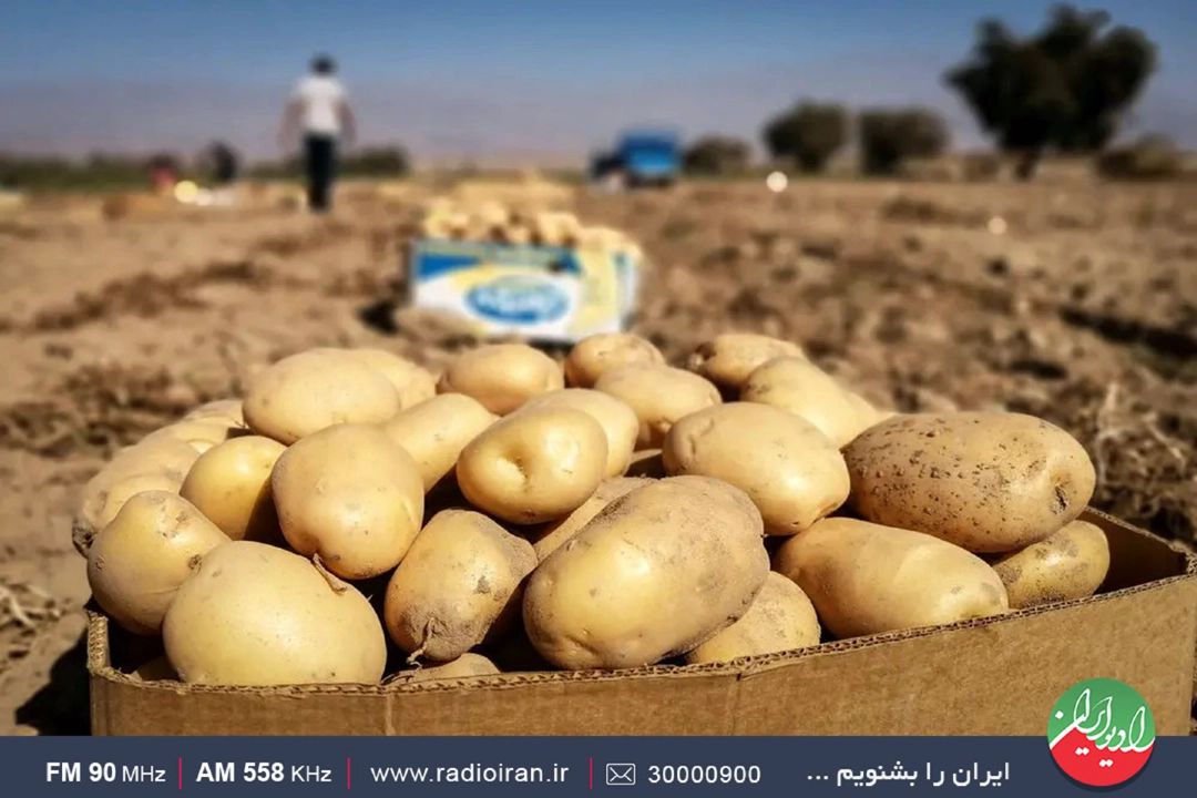 گرانی با گران‌فروشی متفاوت است