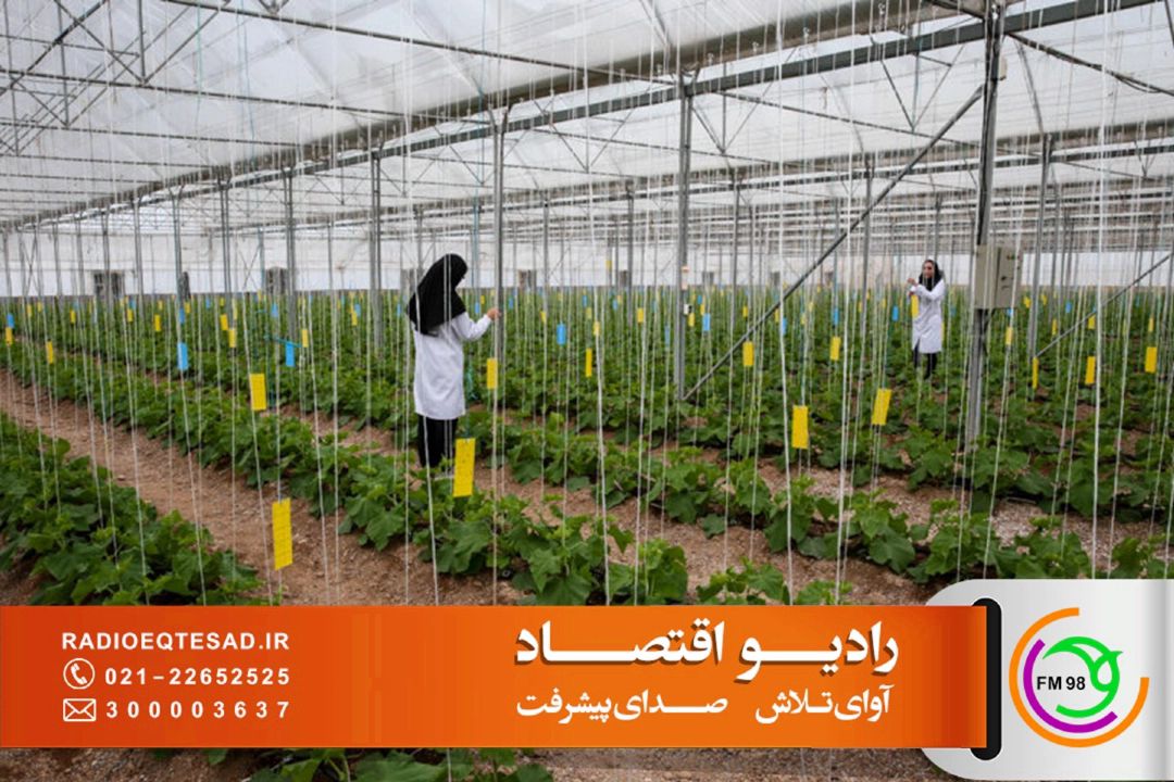 از هنرستان‌های كشاورزی تا بازار كار؛ بررسی آینده مهارت‌آموزی در «صدای كار» 
