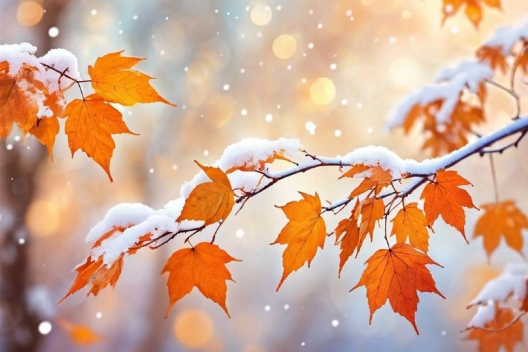 بارش باران و برف پاییزی در برخی مناطق/هشدار نارنجی سیلاب در 5 استان