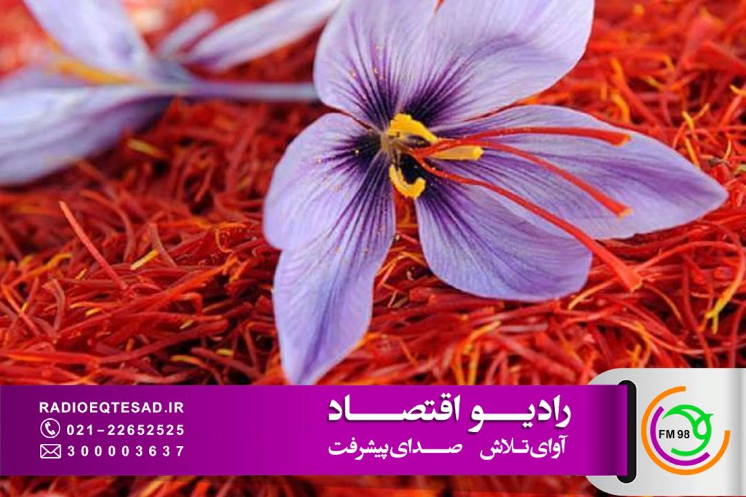 افت 40 درصدی صادرات زعفران ایران؛ افزایش 4 تا 5 برابری هزینه حمل‌ونقل هوایی
