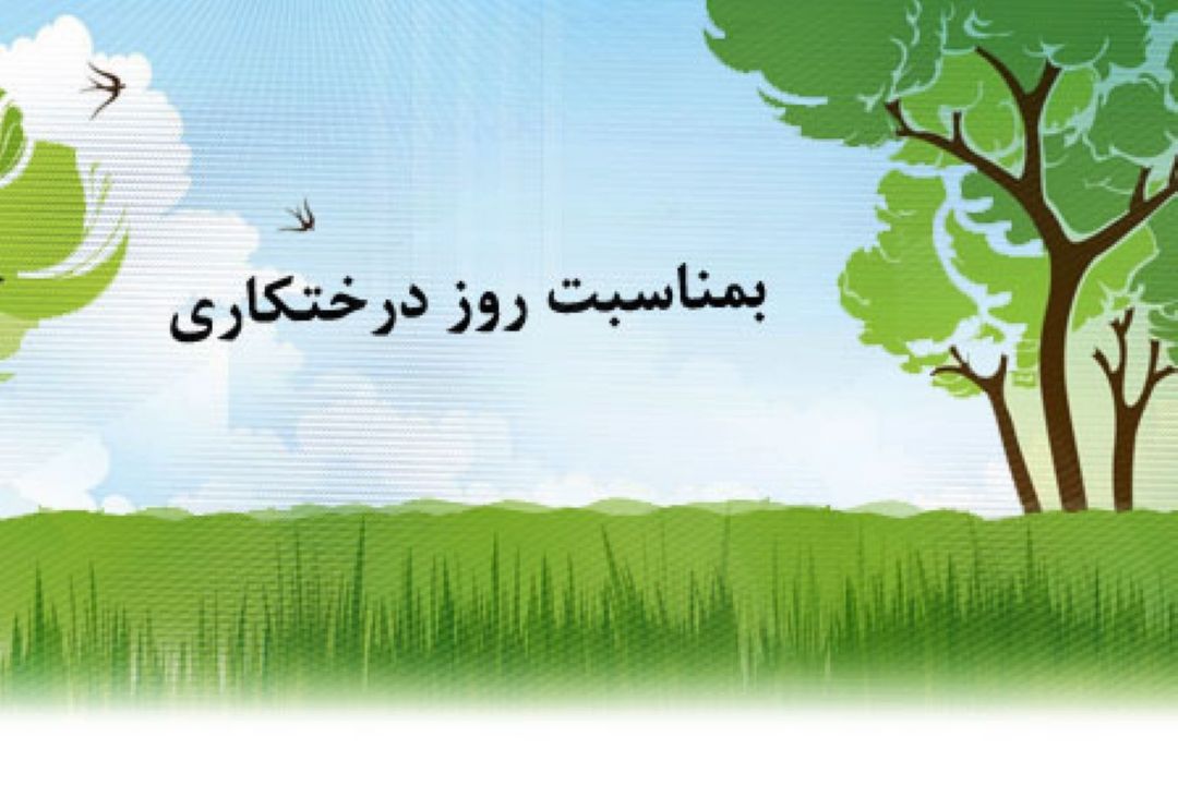یك و نیم میلیون اصل نهال میان مردم توزیع شده است