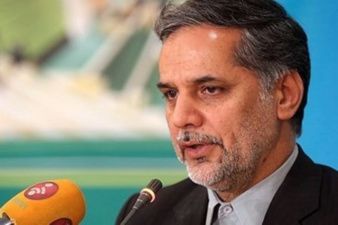 دستگاه دیپلماسی كشور به شكل جدی پیگیر منافع ایران باشد