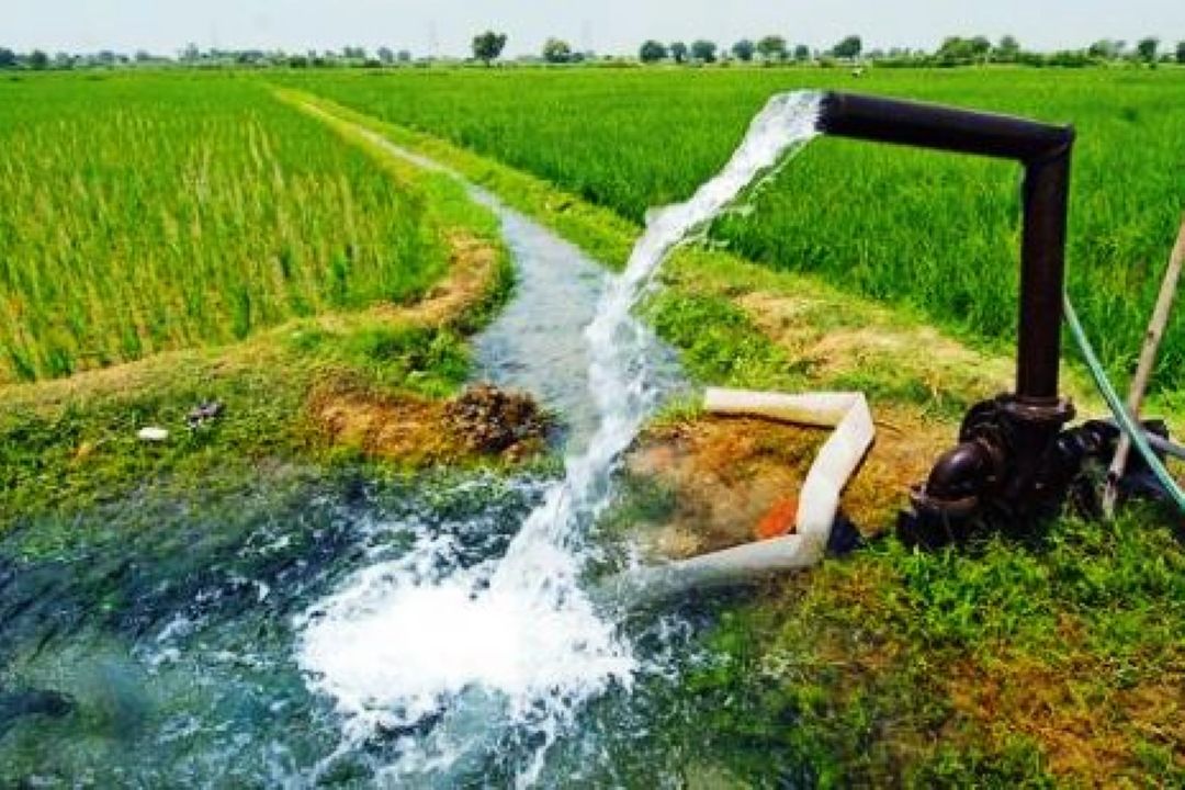 لزوم اجرای مدیریت واحد آب در كشاورزی +صوت