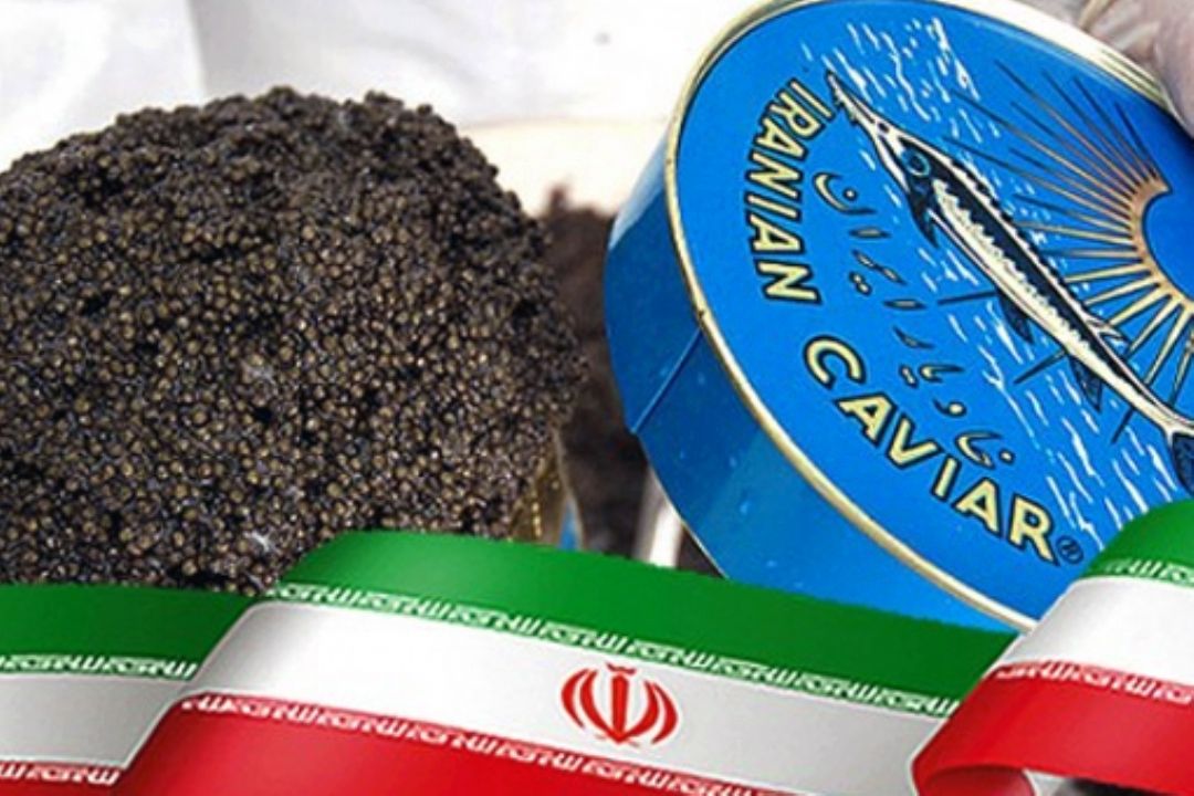 تولید و صادرات بیش از یك تن خاویار ایران 