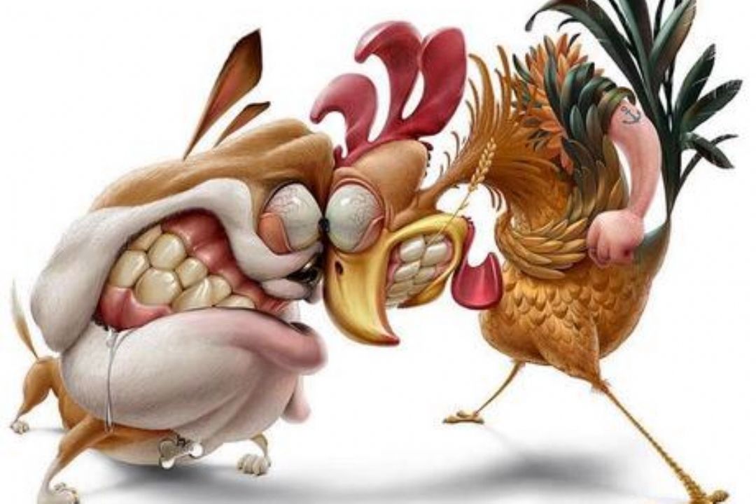 تكلیف پنجم اردیبهشت