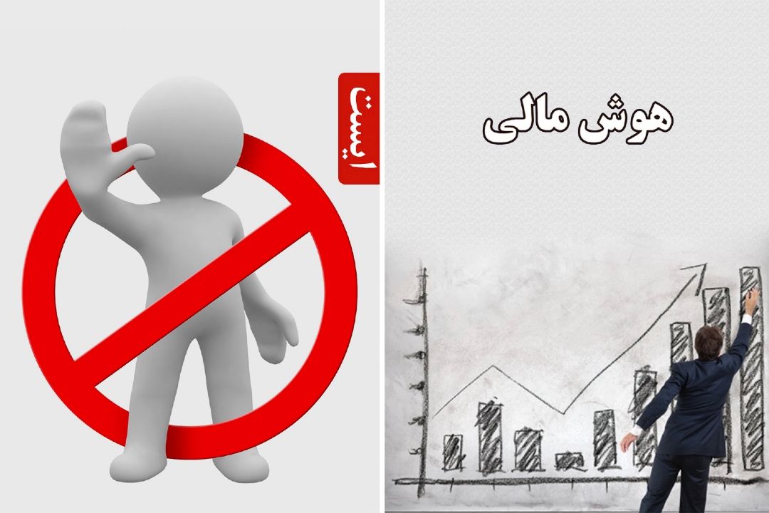 هوش مالی