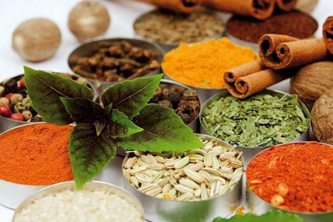 جایگاه گیاهان دارویی رو به بهبودی