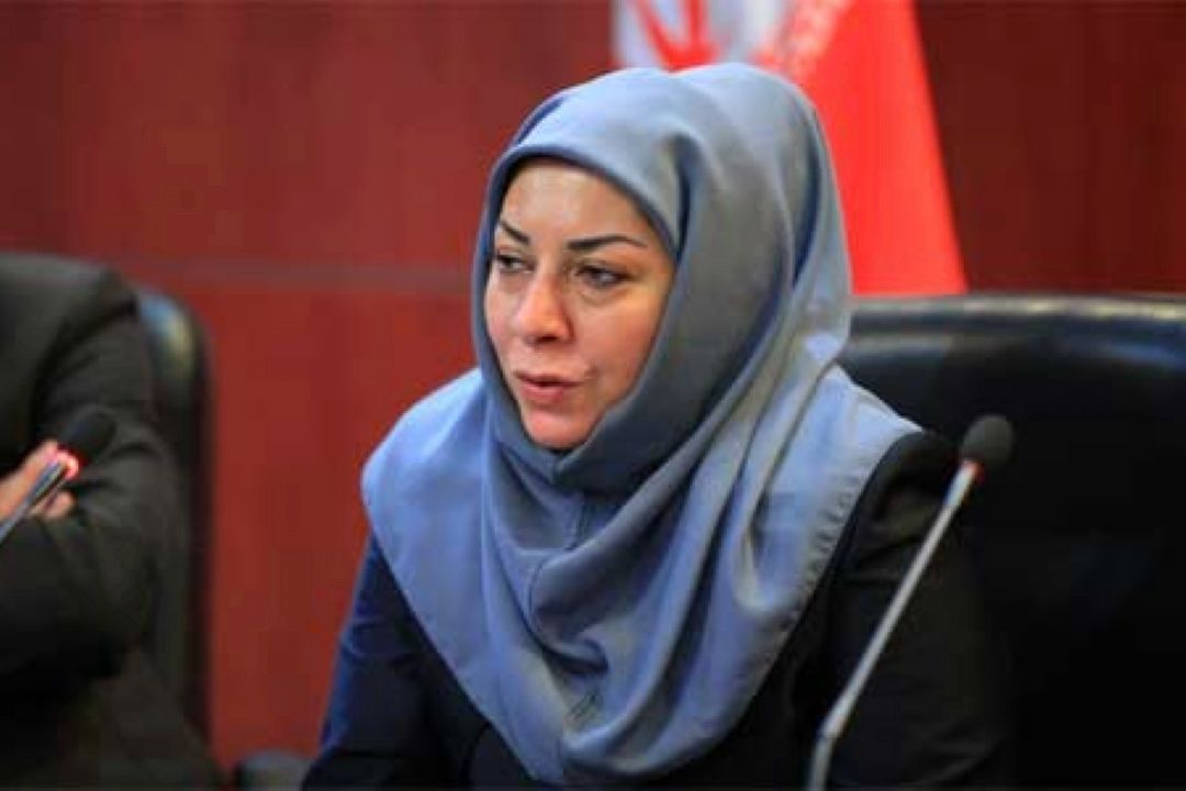 در بحث آلودگی ها، همكاری های منطقه ای؛ شكلی مناسب ندارند 
