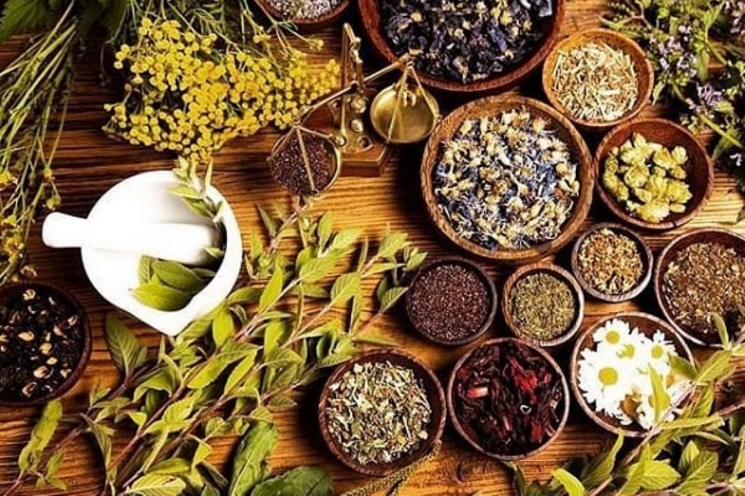 شناسایی 240 گونه گیاهان دارویی در قم