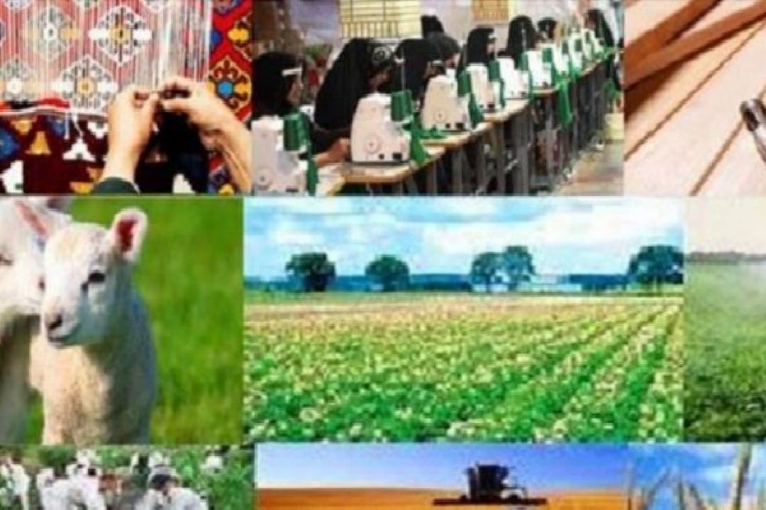 اینجا شب نیست