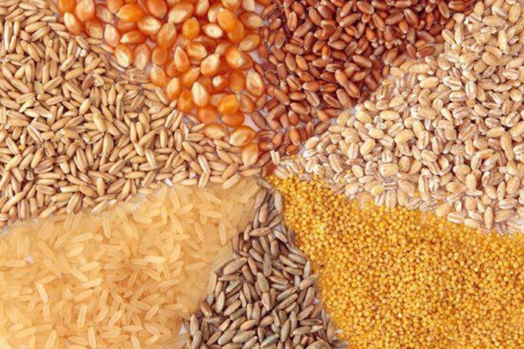  افزایش نرخ خوراك دامی دلیل خاصی ندارد +صوت