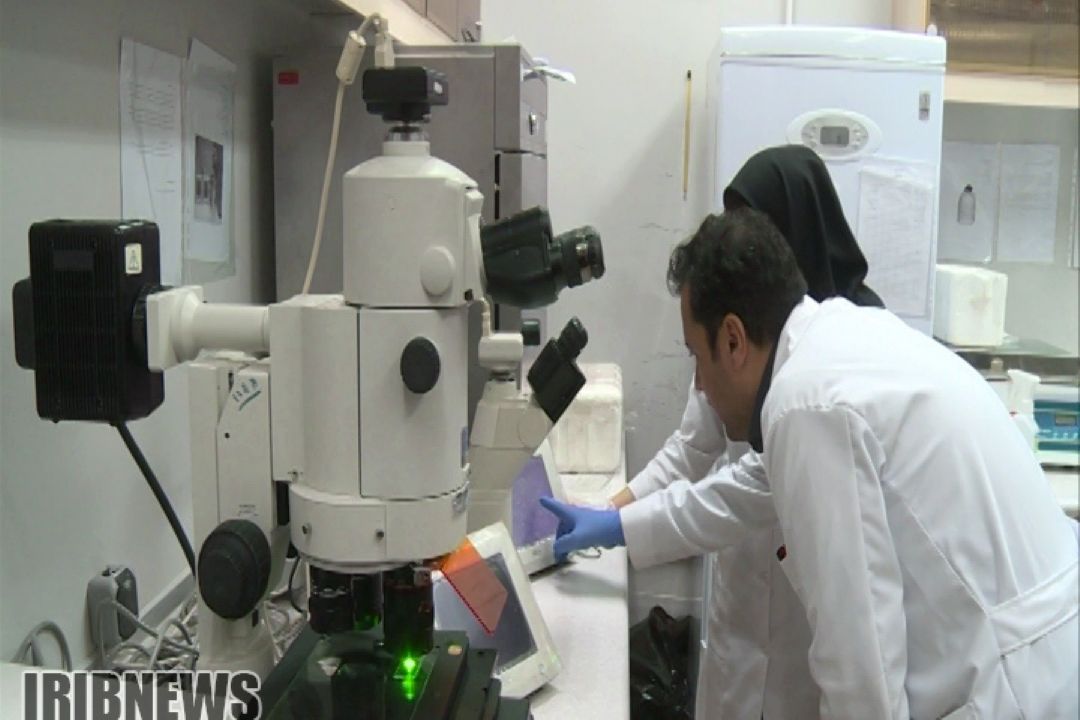 موفقیت پژوهشگران چهارمحال و بختیاری