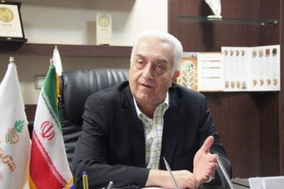 گندم زیر 30 درصد درهزینه تولید نان نقش دارد +صوت