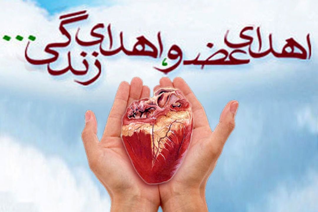 در حاشیه همایش «مرگ مغزی و اهدای عضو»؛