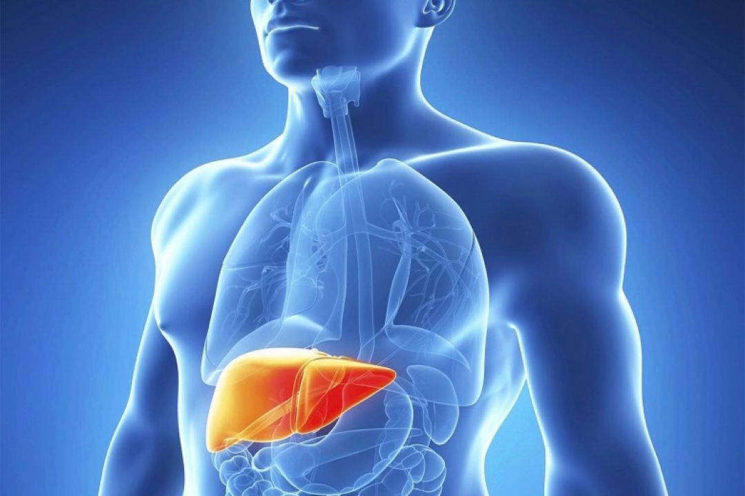  هپاتیت و روش های پیشگیری از آن